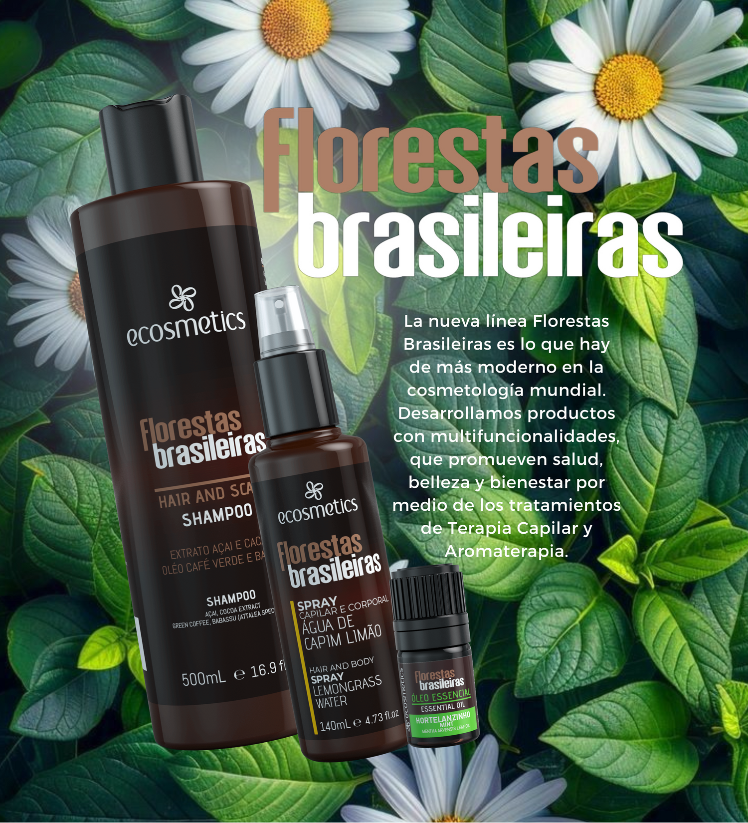 FLORESTAS BRASILEIRAS